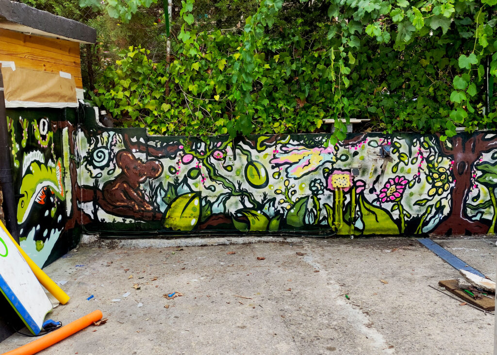 Graffiti finca 1